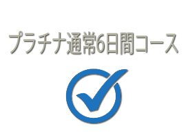 platimunstandard6